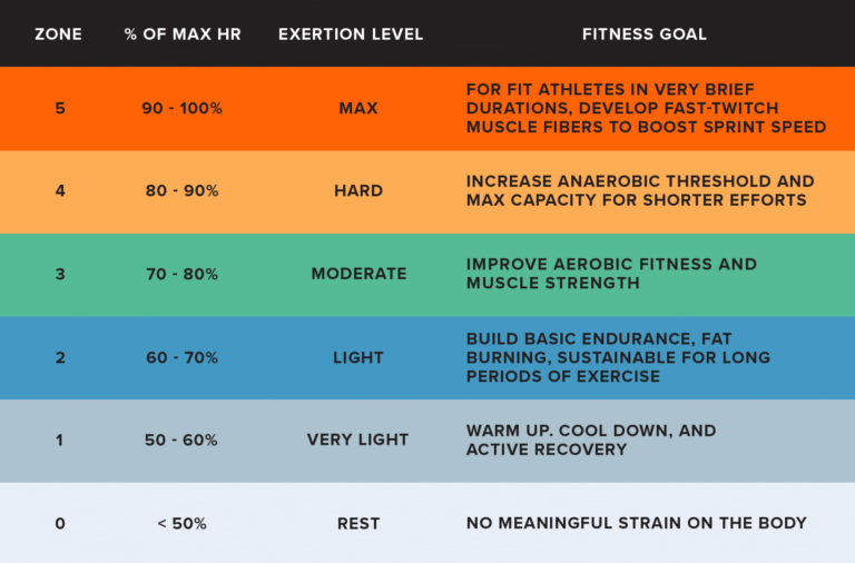 Strategic Slow: Applying Zone 2 Training Principles to Boost Cognitive Abilities