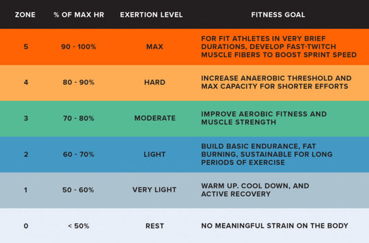 Strategic Slow: Applying Zone 2 Training Principles to Boost Cognitive Abilities