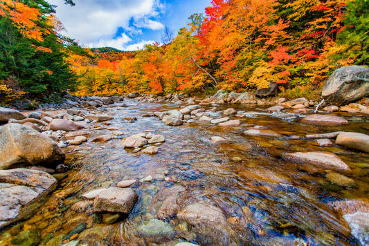 Mountain Photography - Fall Colors in the White Mountains